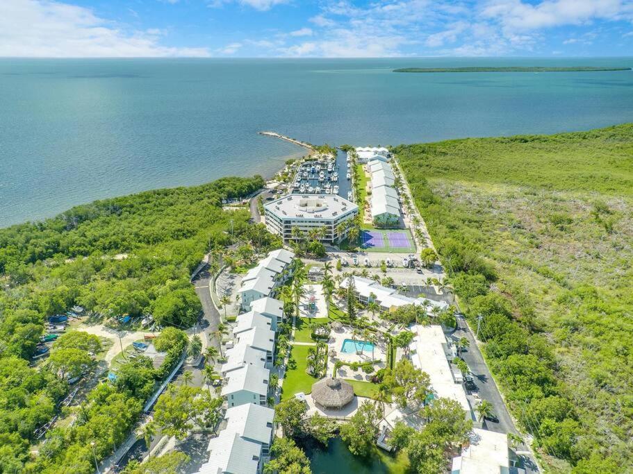 Overlooking Lagoon And Pool-free Golf Cart-kayaks * Key Largo
