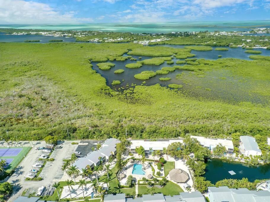 Overlooking Lagoon And Pool-free Golf Cart-kayaks