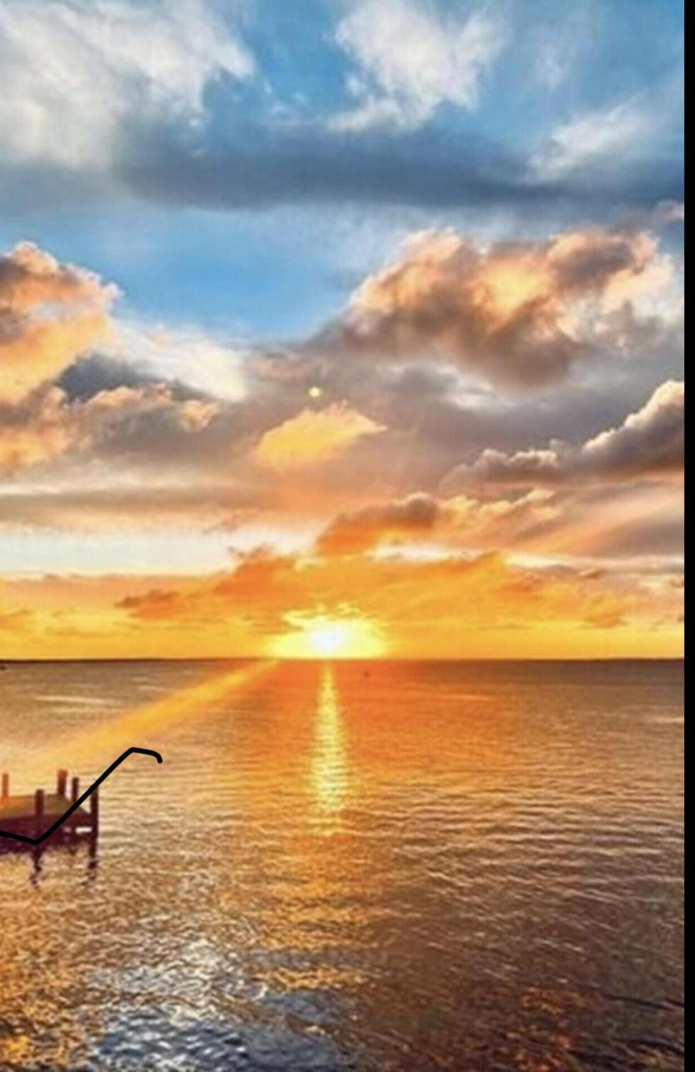 Campsite Paradise Key Largo