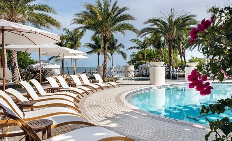 Endless Summer With Privileges *