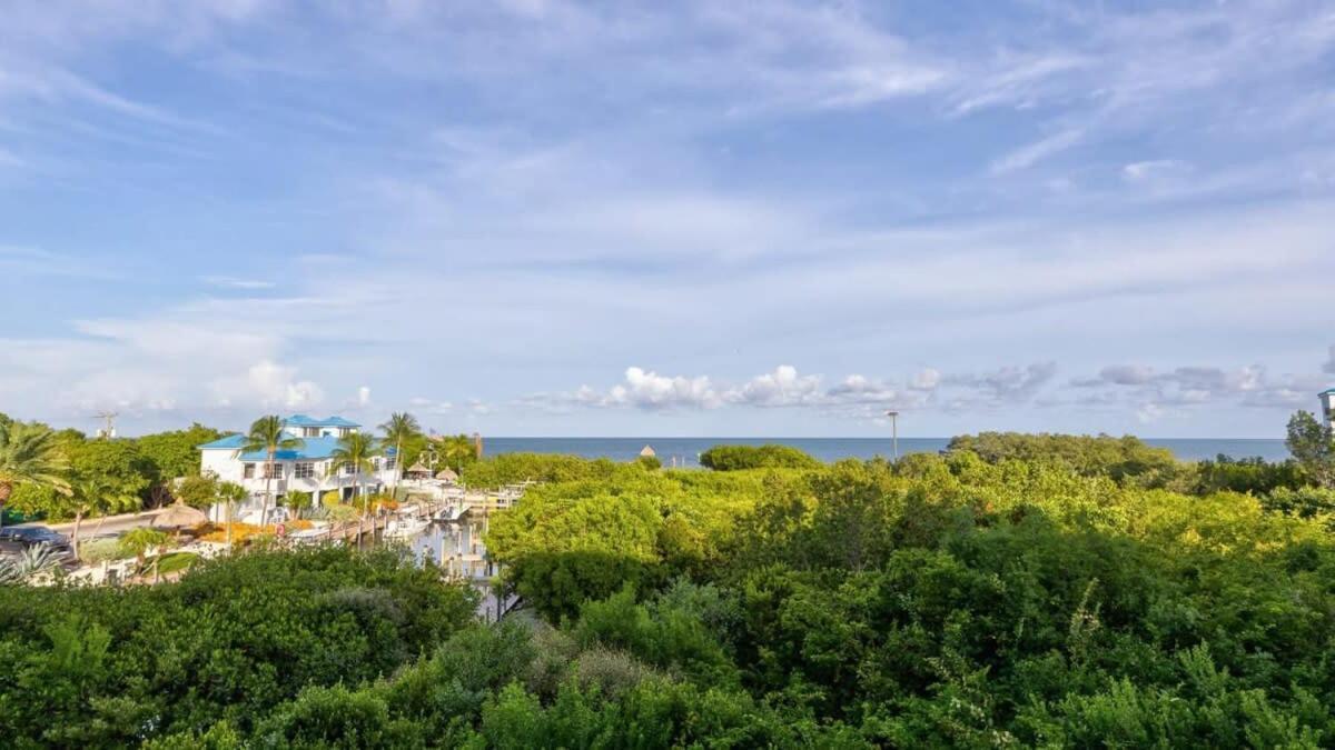 Marina To Ocean View Ocean Pointe 5308 Holiday home Key Largo