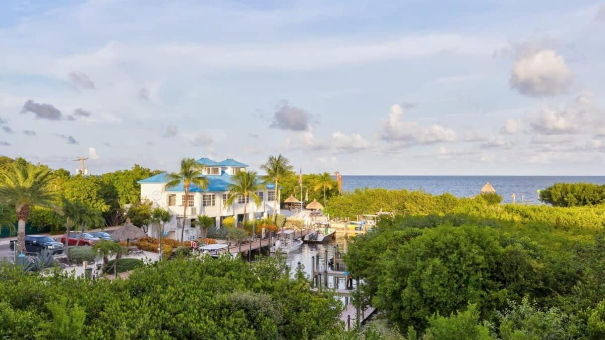 Marina To Ocean View Ocean Pointe 5308 * Key Largo