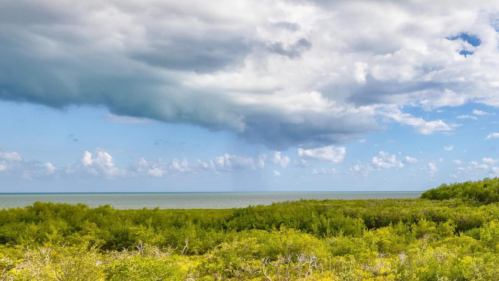 Modern And Coastal Ocean Pointe 2307 Holiday home Key Largo