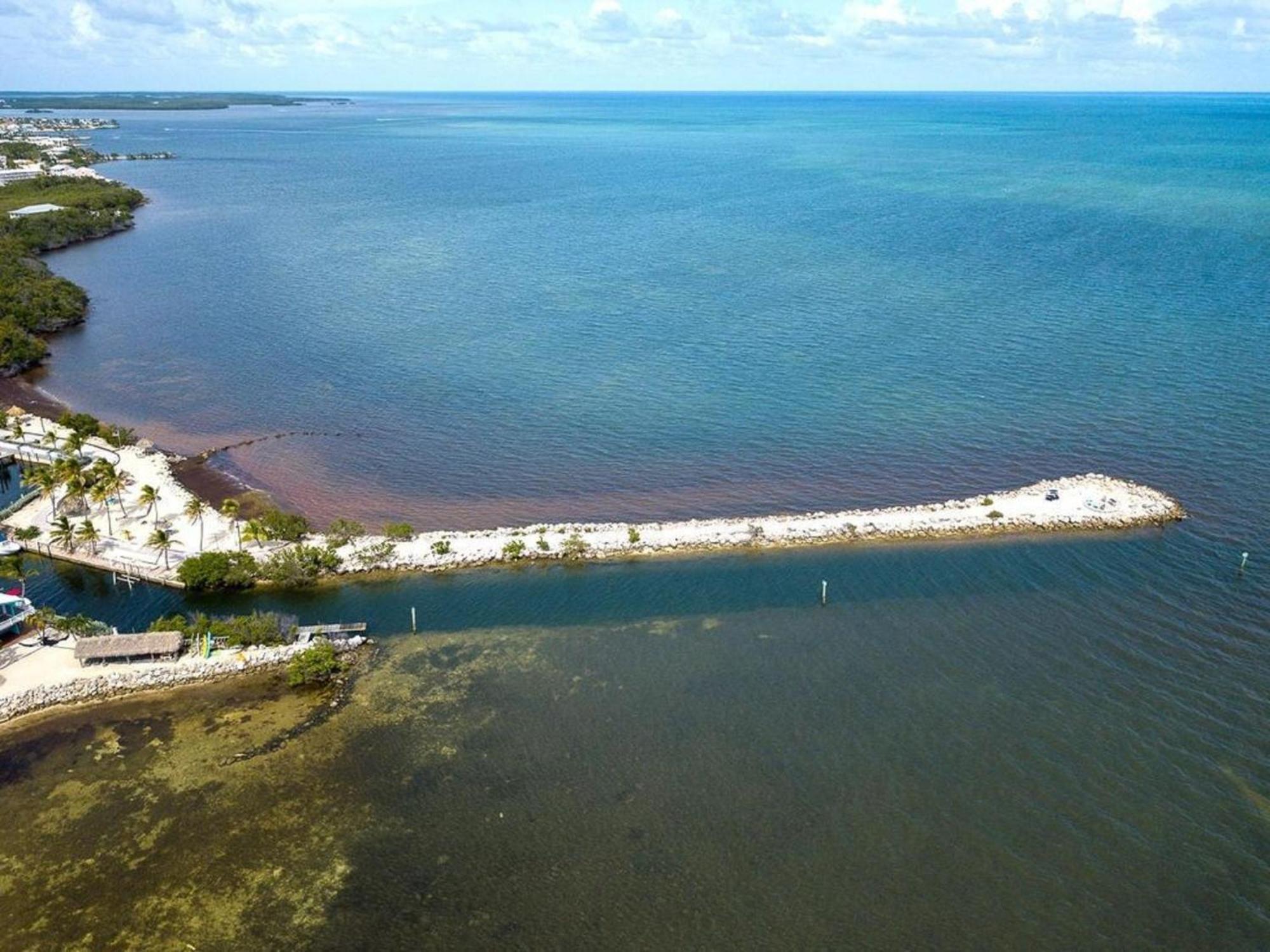 Tower 2 Master Suites, 2 Kings Beds, Marina * Key Largo