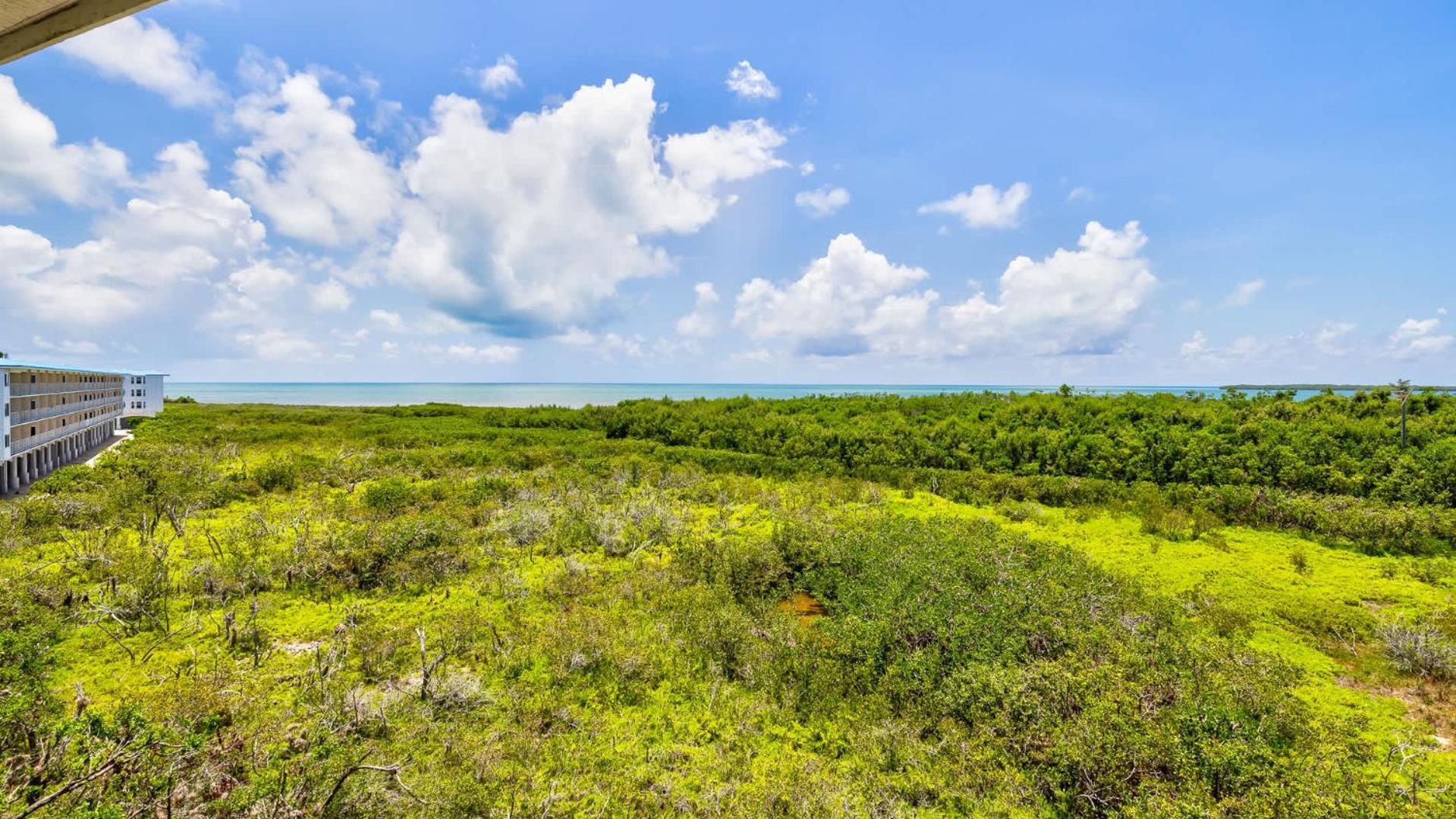 Sunrise Sanctuary - Floor Ocean Pointe 2415 * Key Largo
