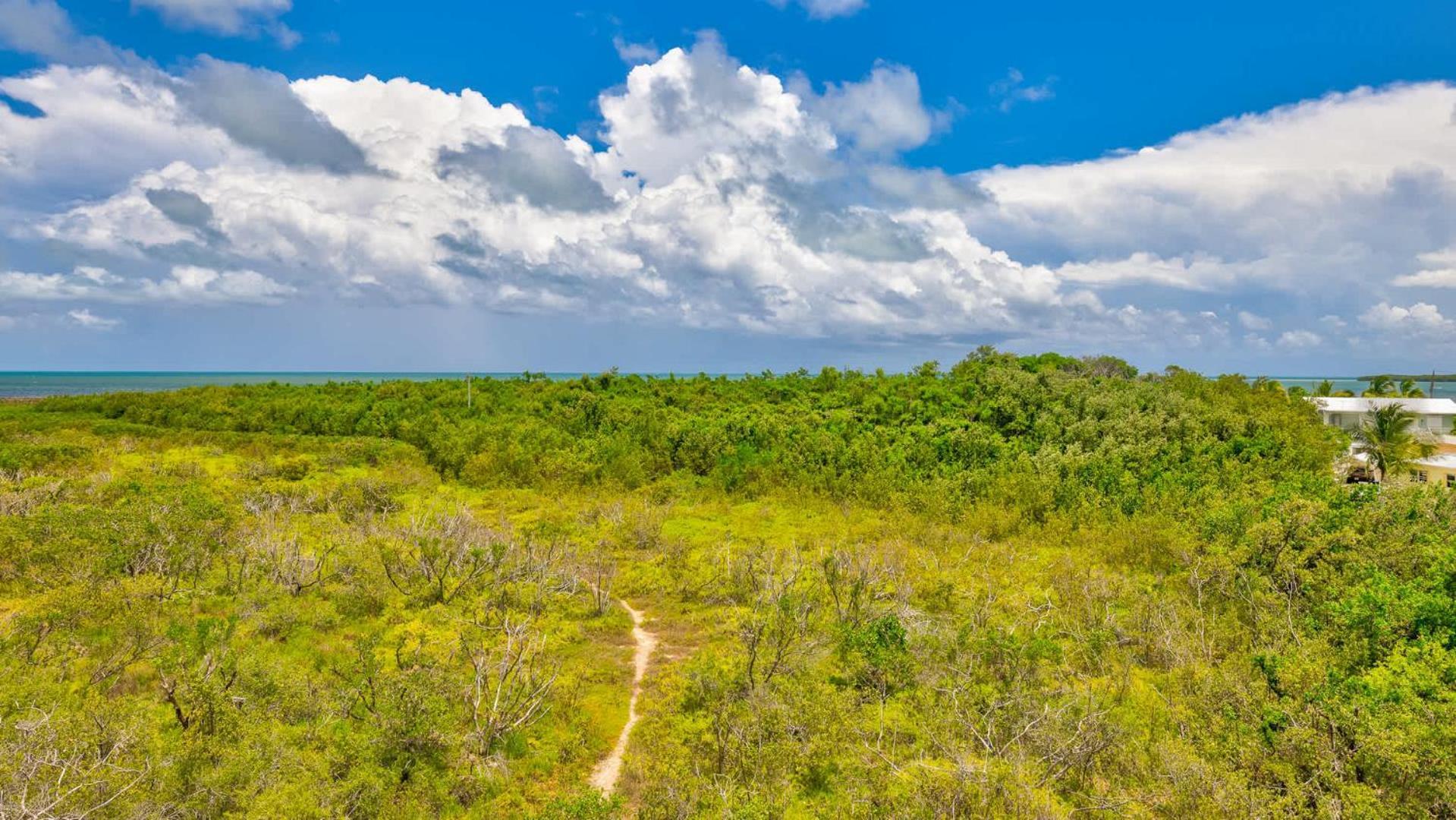 Baha Penthouse Ocean Pointe 1416 * Key Largo