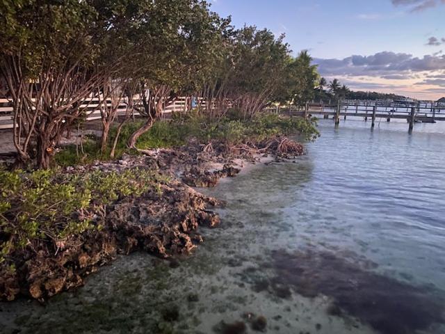 Bahia Bay 3*